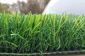 Grianán Artificial Grass 25mm - Elegant Finish for Gardens &amp;amp; Memorials €22.76 ex vat per m2 image