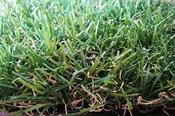 Errigal Artificial Grass 25mm – Low Cost, Natural Finish €15 ex vat per m2 image