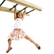 Monkey Bars 400mm long