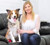 Understanding Pet Dogs