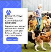 Comprehensive Canine Communication Certificate