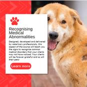 Recognising Medical Abnormalities