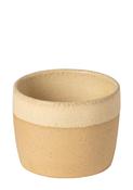 Costa Nova Arenito Lungo Cup 200 ml - Champagne Yellow