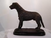 Irish Wolfhound.