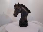 " The wilder side " horse bust. image