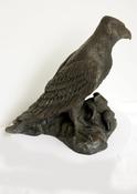Bird of prey. image