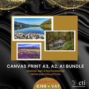 Canvas Print A3, A2, A1 Bundle image
