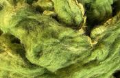 Green Irish Wool Fleece