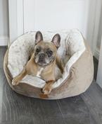 Dog butterfly bed image