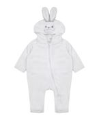 Rabbit all-in-one image