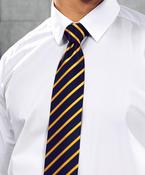 Sports stripe tie image
