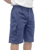 Combat Shorts (S790) regular fit image
