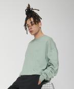 Unisex Ledger dry sweatshirt (STSU798) image