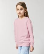 Kids Mini Changer 2.0 iconic crew neck sweatshirt (STSK181) image