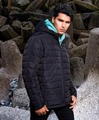 Delmont recycled padded jacket image