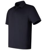 UA T2G polo LB image