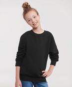 Kids raglan sleeve sweatshirt image