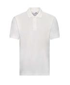 Academy polo image