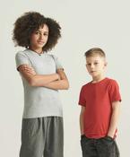 The AWDis 150 Kids T image