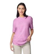 Heavyweight adult t-shirt image