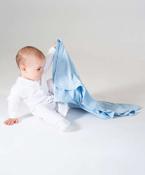 Blanket image