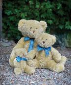 Bracken bear image