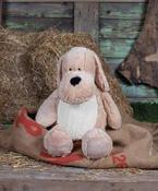 Zippie dog image
