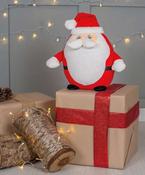 Zippie Father Christmas image