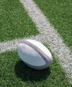 Zippie rugby ball image