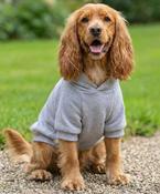 Dog’s hoodie image