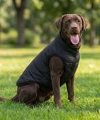 Dog’s puffer jacket image