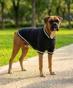 Dog’s varsity jacket image