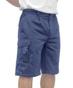 Combat Shorts (S790) regular fit image
