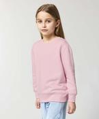 Kids Mini Changer 2.0 iconic crew neck sweatshirt (STSK181) image