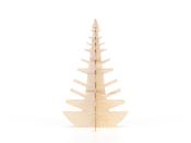 Event Display – ESPOSIT Merry