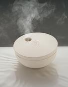 Breevia RCS rplasic re-chargeable floating humidifier image