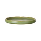 Edenic flat plate 270mm image