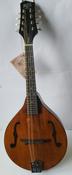 Barnes and Mullins BM600 Semi Accoustic Mandolin