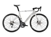 Tifosi auriga disc cheap