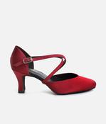 BL156 - Ballroom Practice Shoes for Women, Satin Dance Heels with Arch Support image