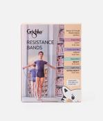 Resistance Bands 4 Pack, Exercise Bands for Strength, Stretch &amp; Recovery - TT002G image