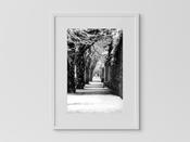 Castle road walk Kilkenny in snow  - Dan Ryan Photography image