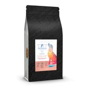 NODENS - Superfood Adult - 65% Salmon Dog Food - 2kg image