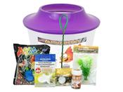 Cheeko Goldfish Starter Kit - Large