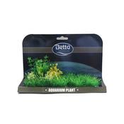Betta Aquarium Plant
