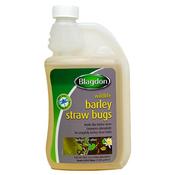 Blagdon Wildlife Barley Straw Bugs image