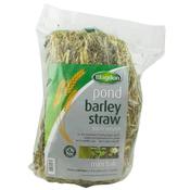 Blagdon Pond Barley Straw - Mini Bale image