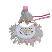 Birthday Baby Bib &amp; Pawty Hat image
