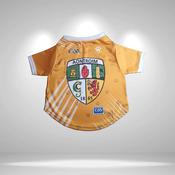Antrim GAA Pet Jersey/Dog Bandana - Extra Large / Bandana image