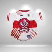 Derry GAA Pet Jersey/Dog Bandana - Extra Small / Jersey image